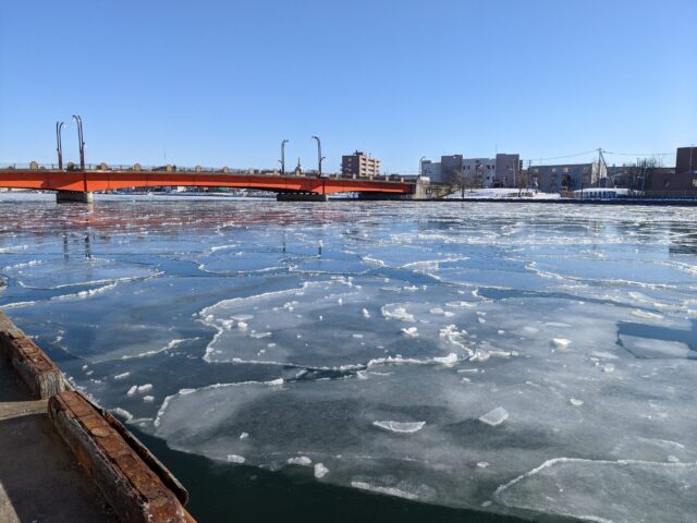 釧路川の蓮氷