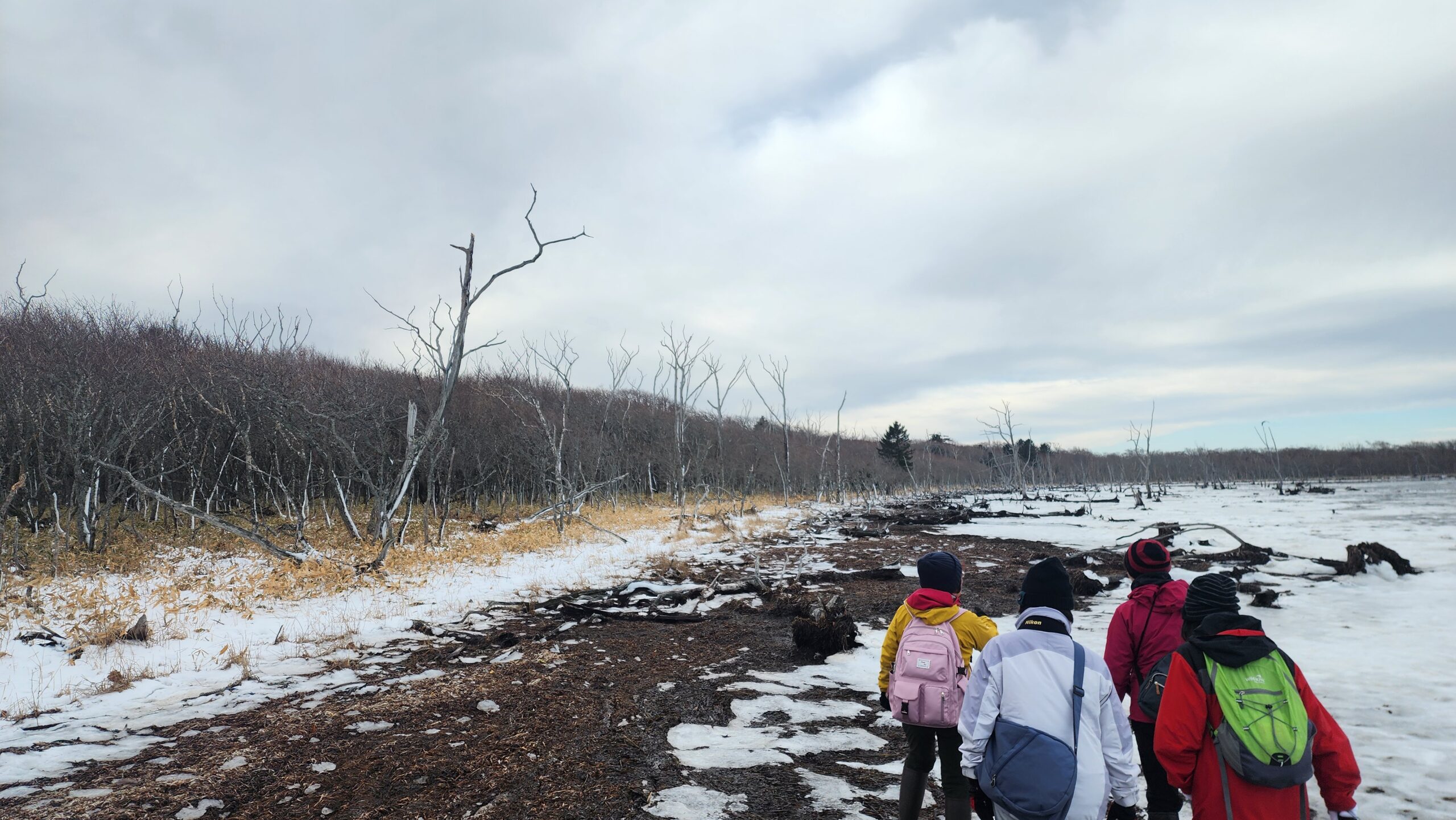 オンニクルの森