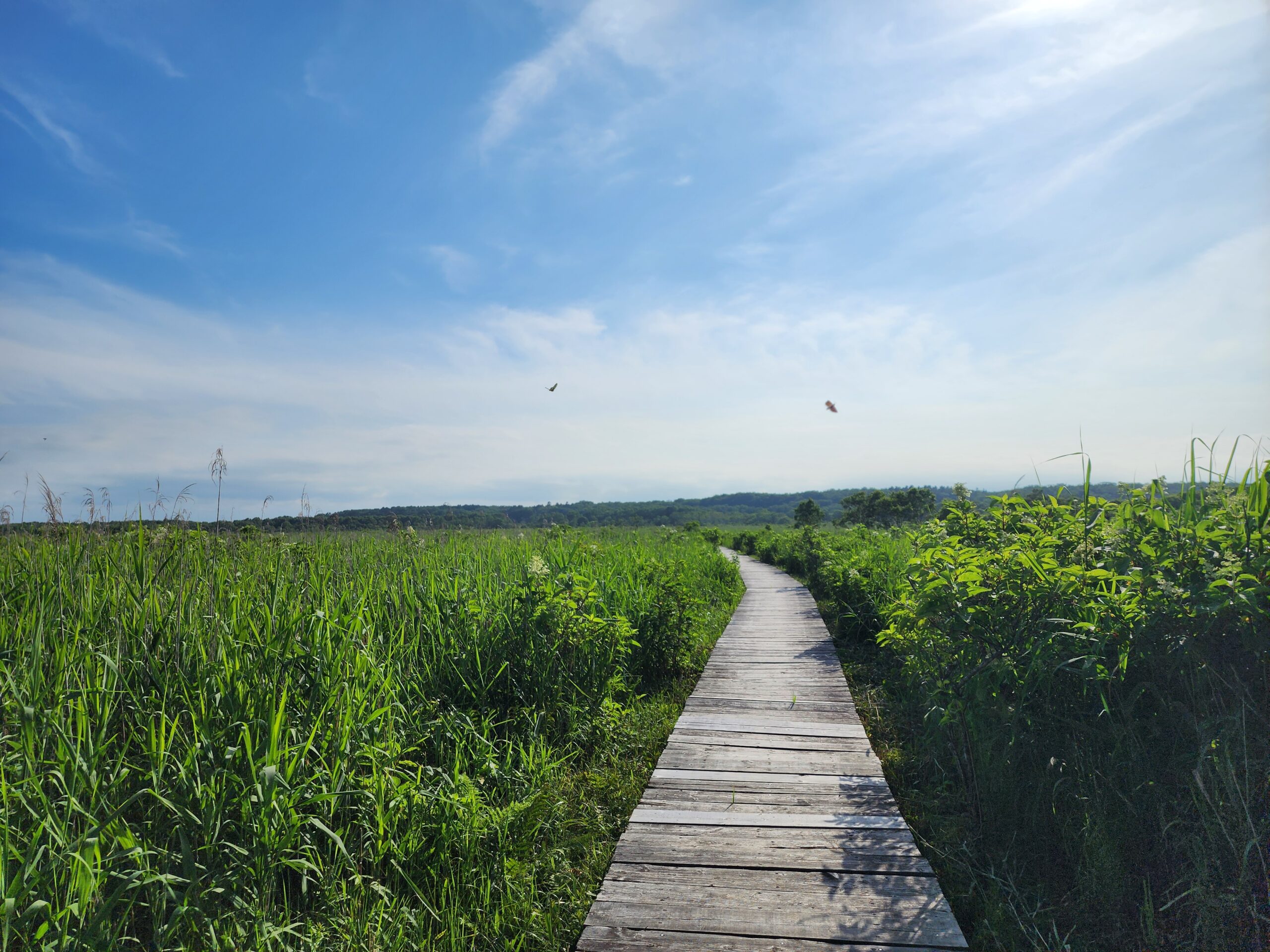 ポー川史跡自然公園