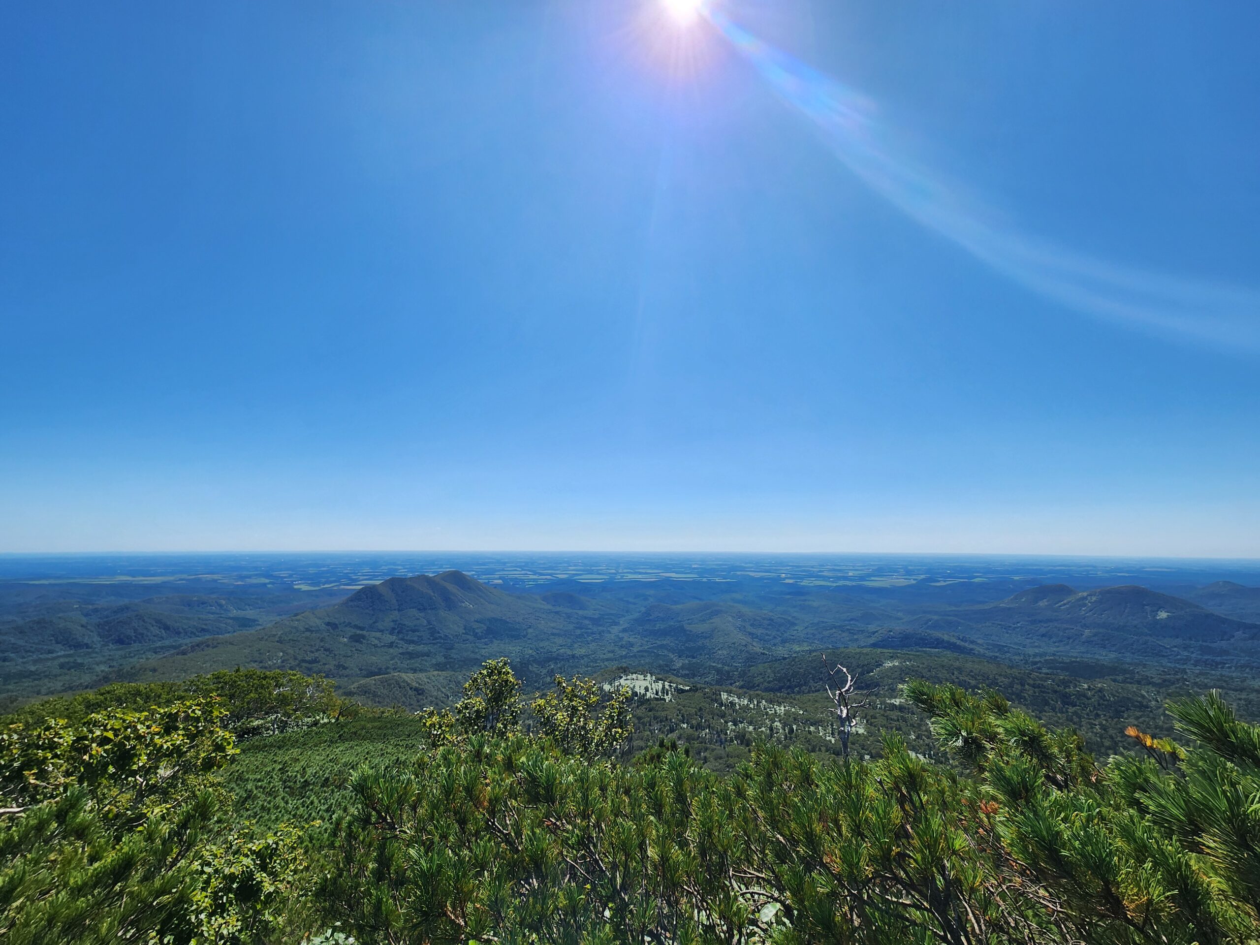 標津岳