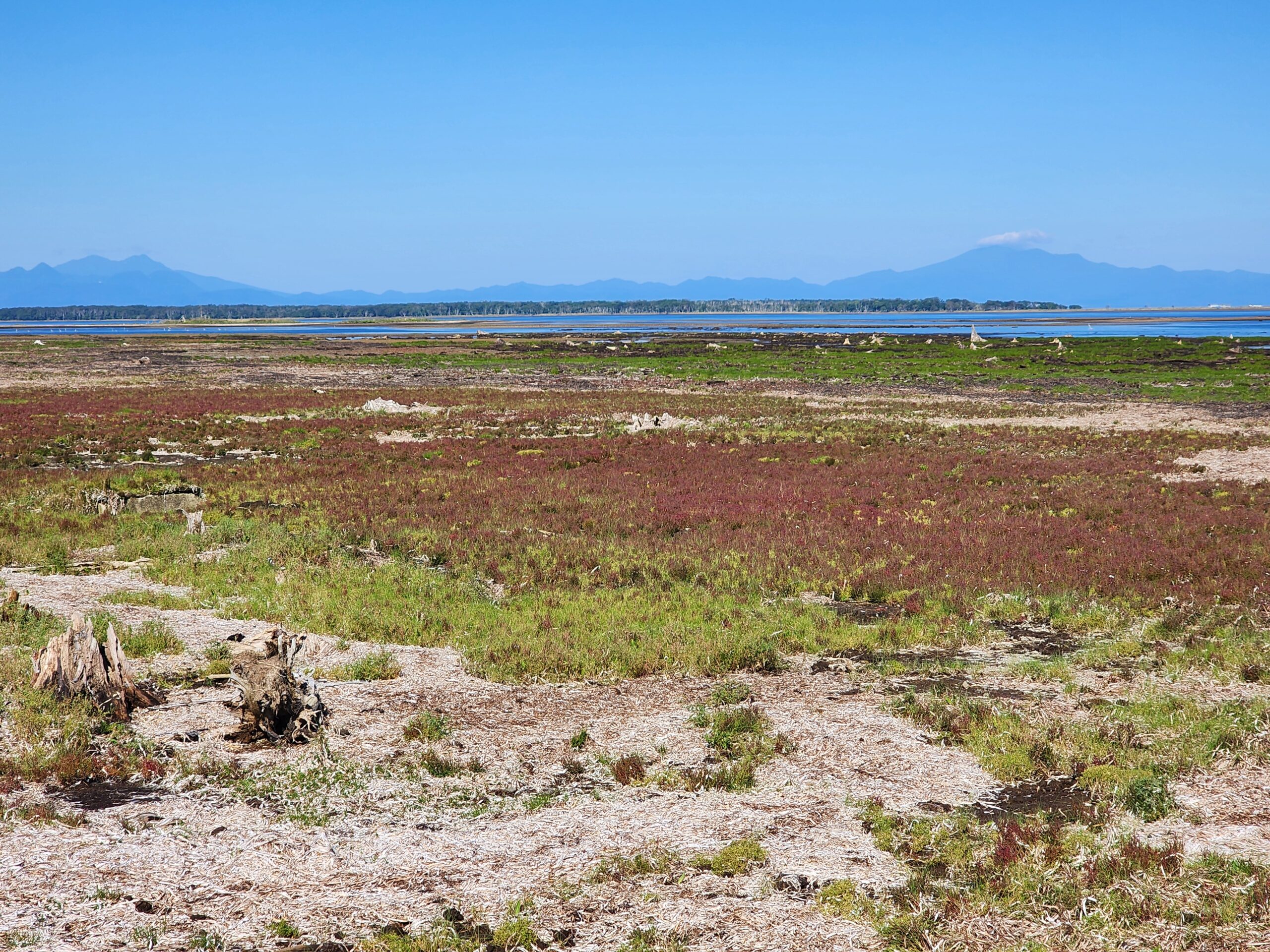 野付半島