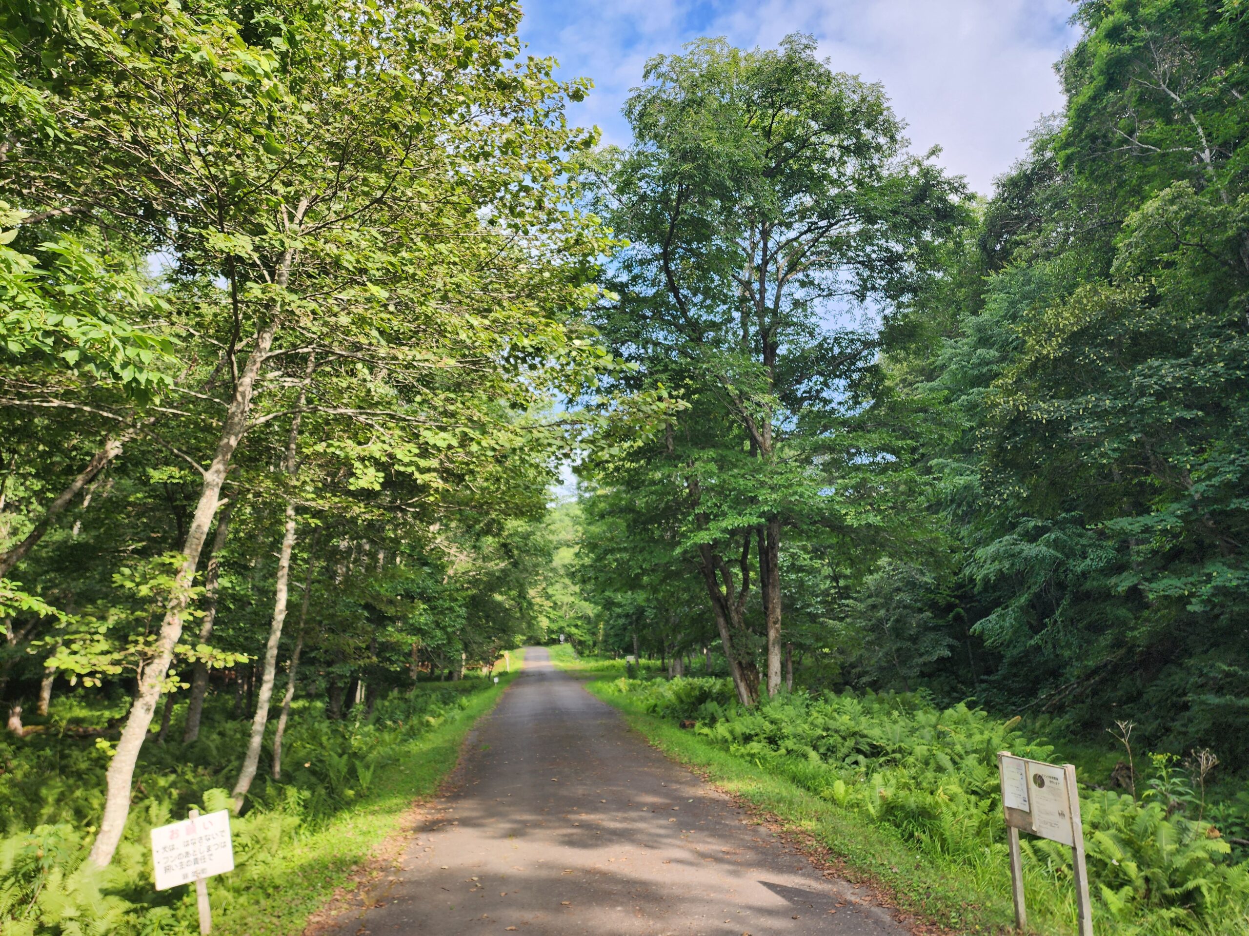 釧路町森林公園