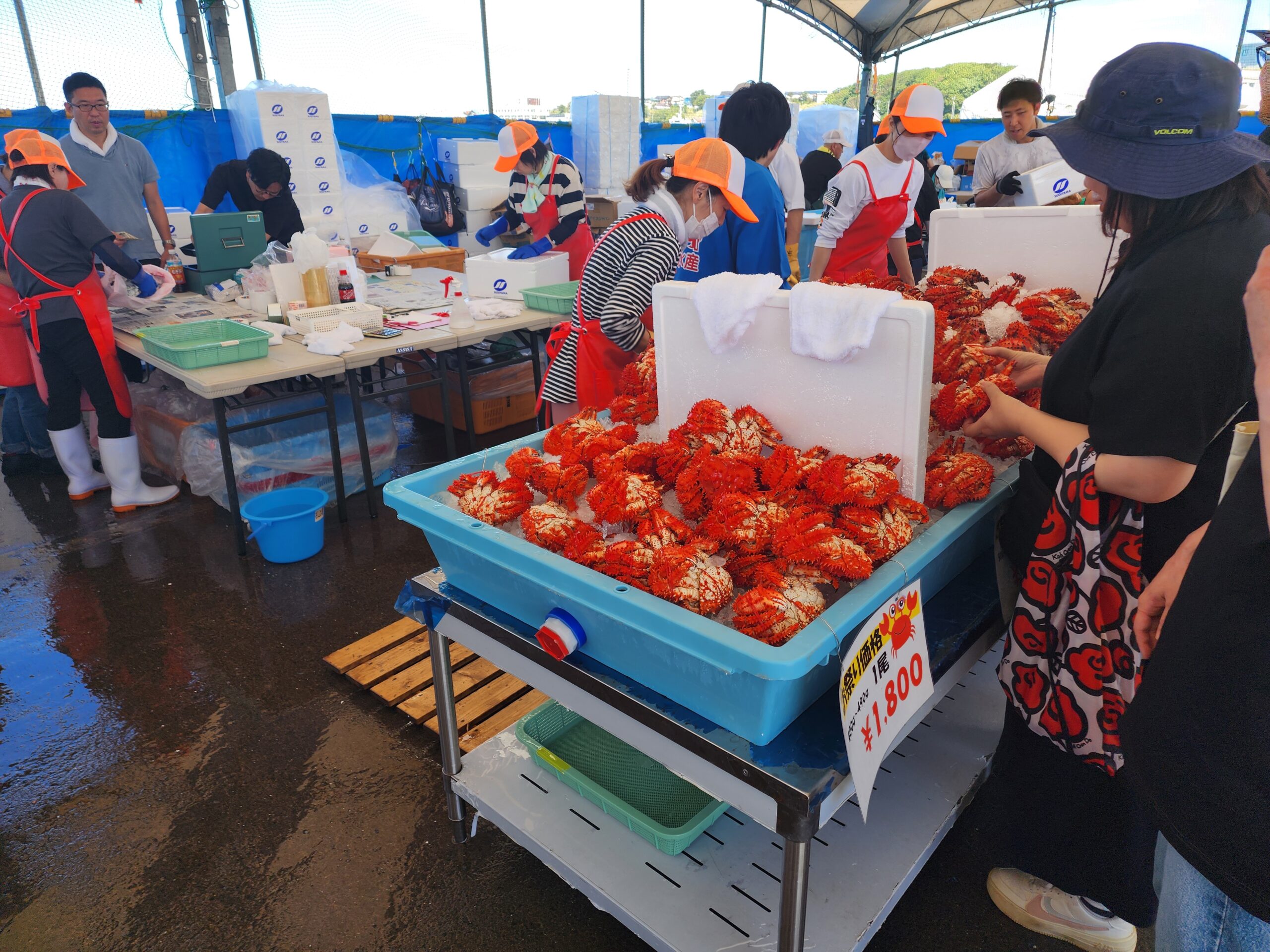 根室カニ祭り