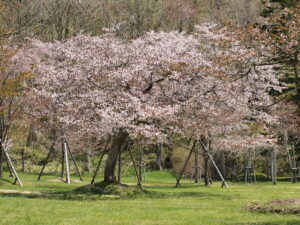 別保公園